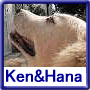 Ken/Hana